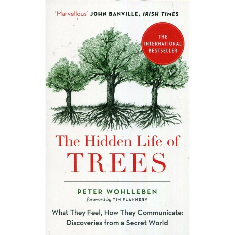 The Hidden Life of Trees The International Bestseller Peter Wohlleben