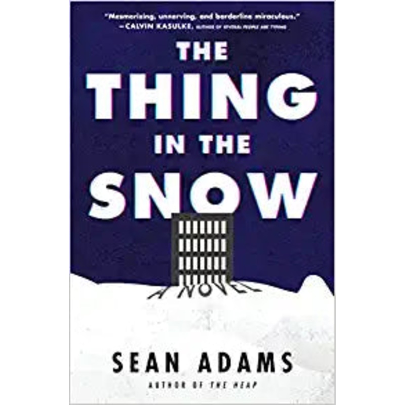 The Thing in the Snow: A Novel