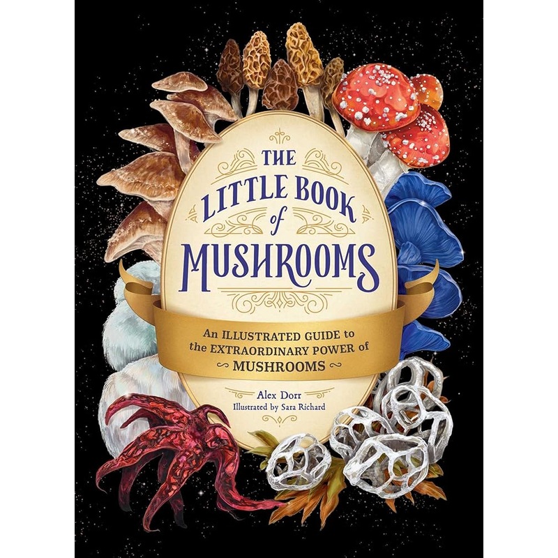 The Little Book of Mushrooms: An Illustrated Guide to the Extraordinary Power of Mushrooms
