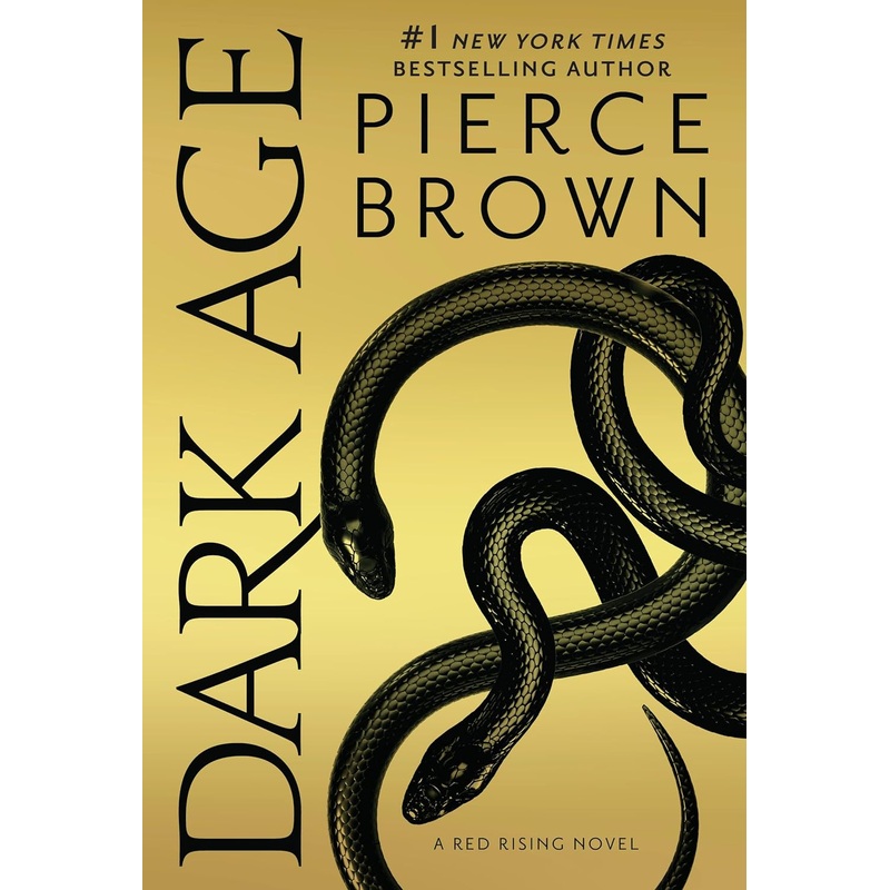 Dark Age Paperback