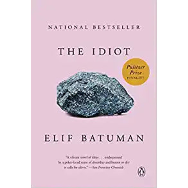 The Idiot: A Novel