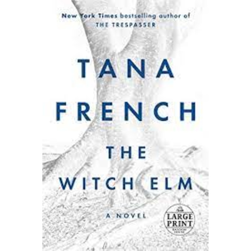 The Witch Elm, Large Print