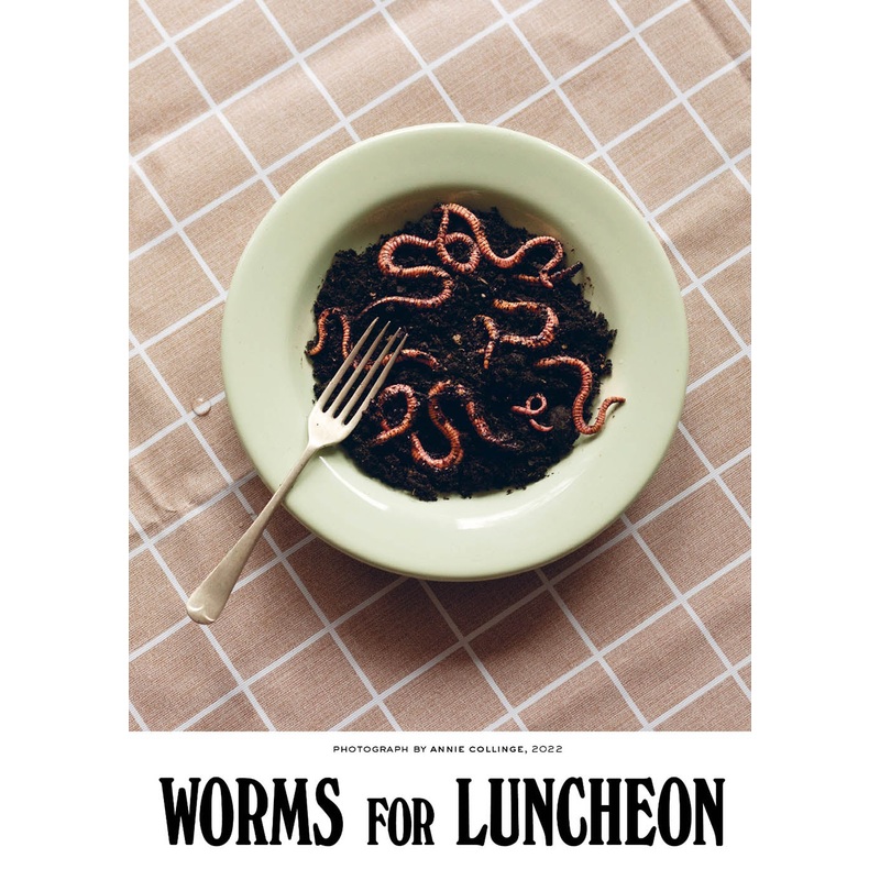 Worms for Luncheon