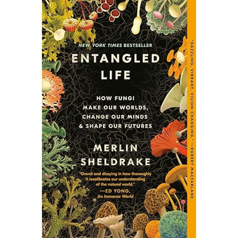 Entangled Life
