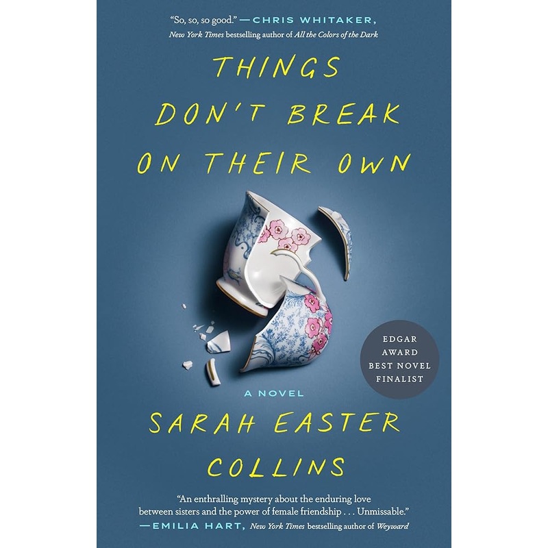 Things Don’t Break on Their Own: A Novel