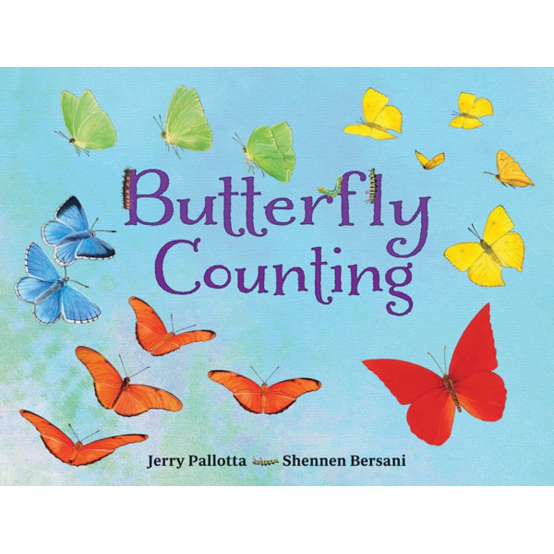 Butterfly Counting