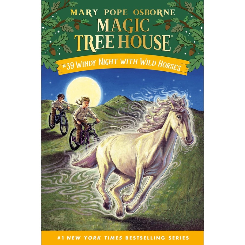 Windy Night with Wild Horses Hardcover