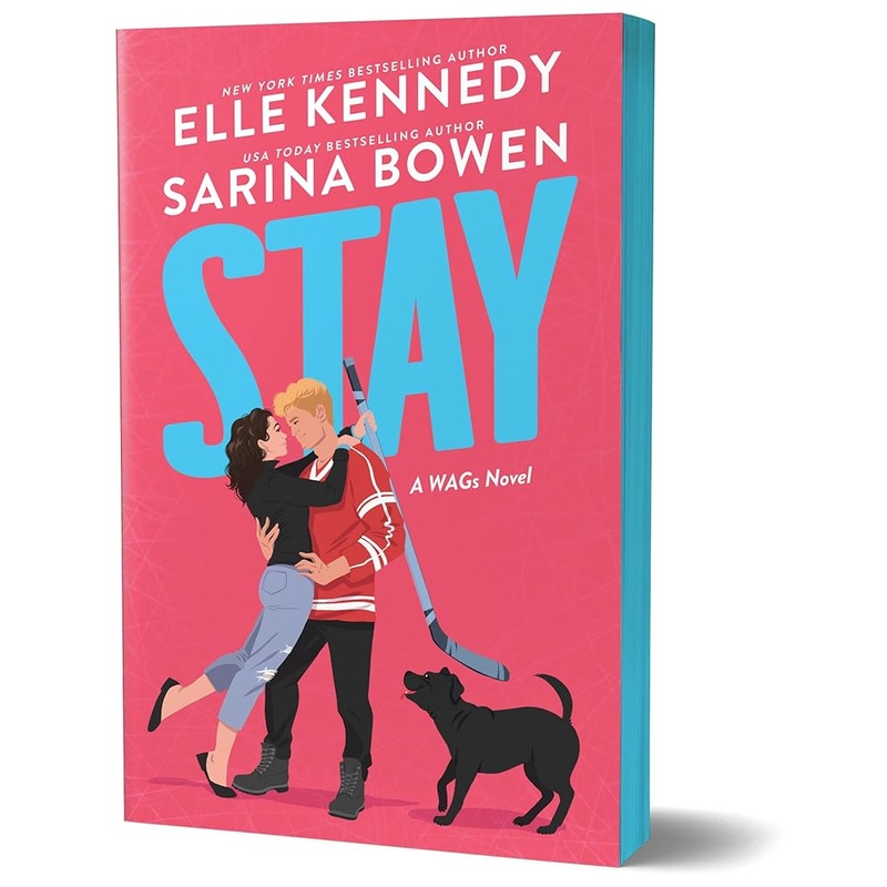Stay: A Single Dad Hockey Romance (WAGs, 2)