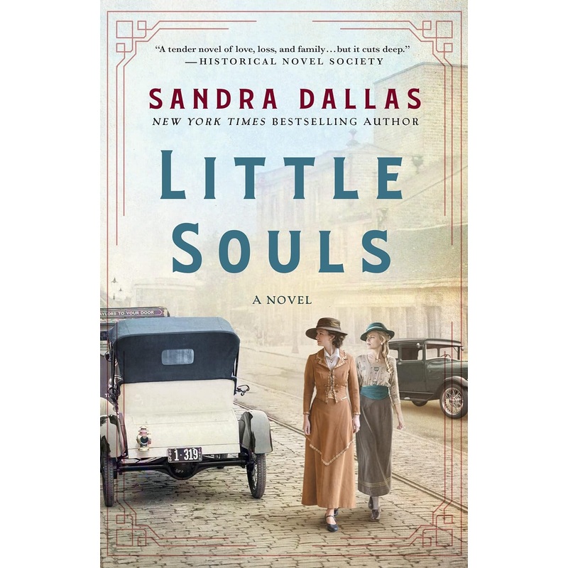 Little Souls: A Novel Paperback