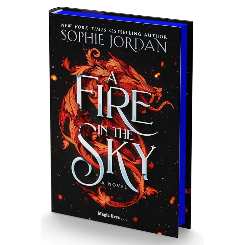 A Fire in the Sky: A Novel