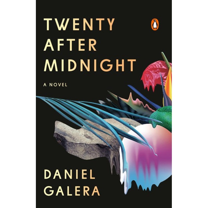 Twenty After Midnight : A Novel