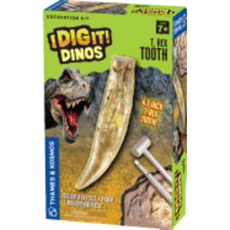I Dig It Dinos – T Rex Tooth