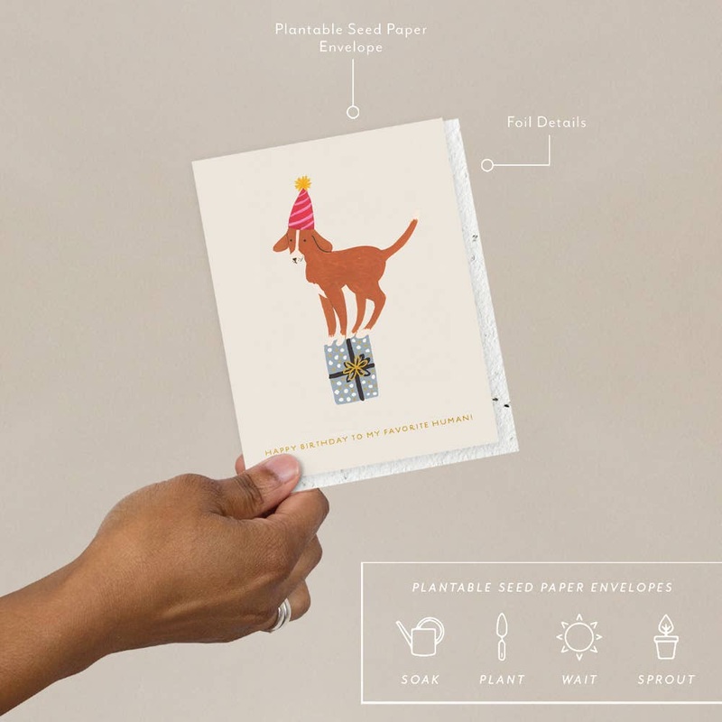 Birthday Dog – Birthday Card