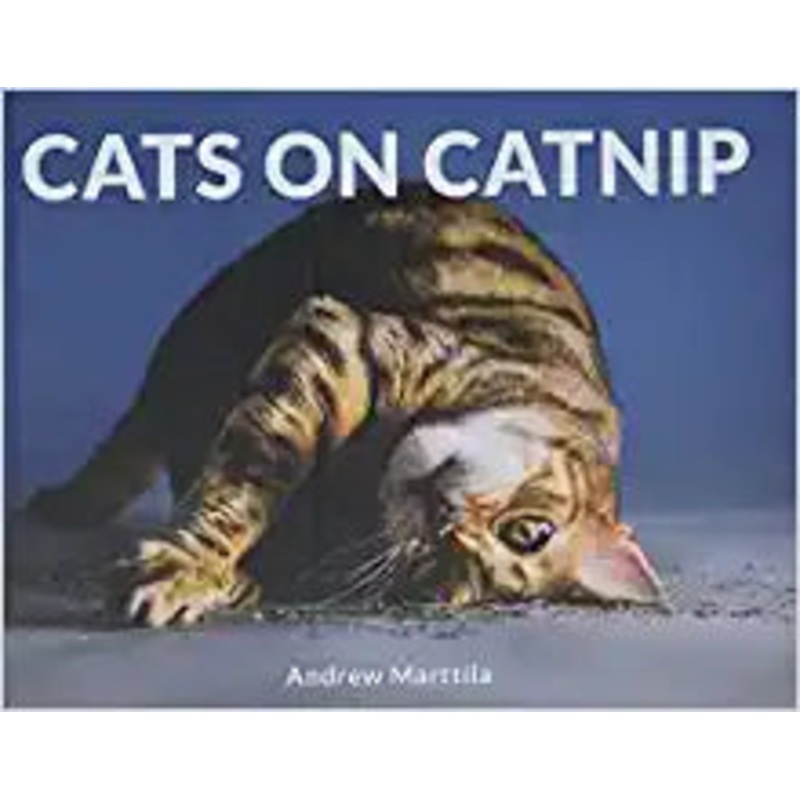 Cats on Catnip