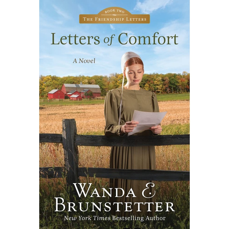 Letters of Comfort: Volume 2 Paperback