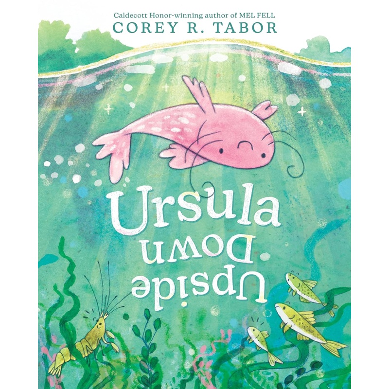 Ursula Upside Down Hardcover