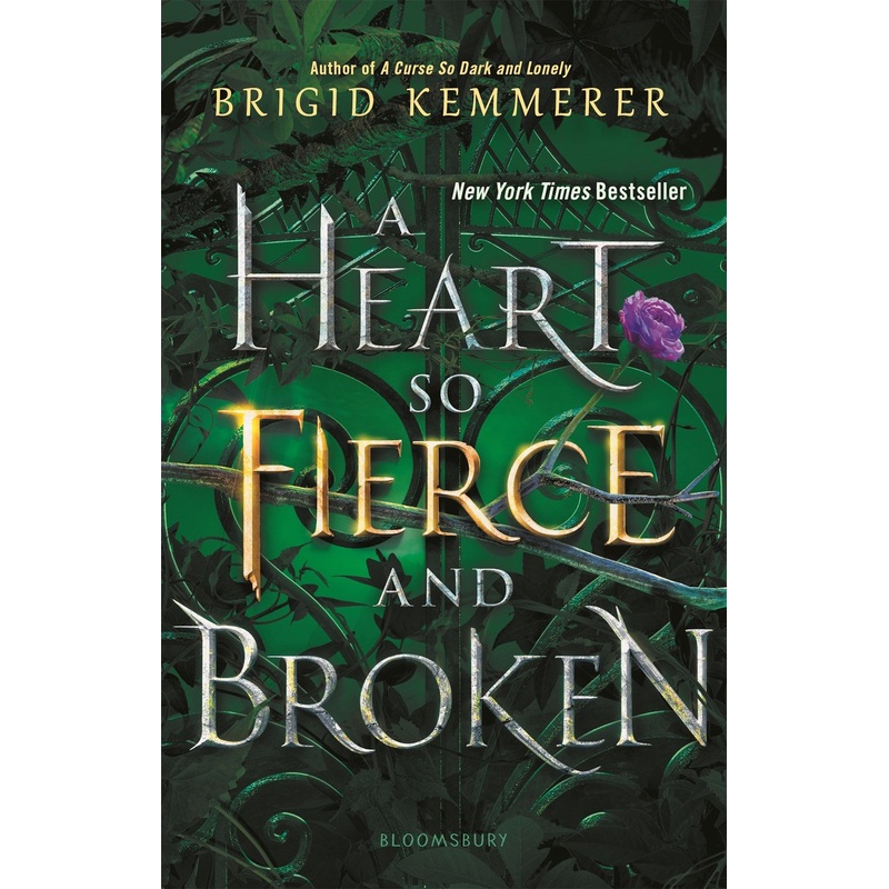 A Heart So Fierce and Broken  PB
