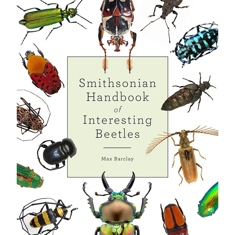 (09/22/26 PREORDER) Smithsonian Handbook of Interesting Beetles