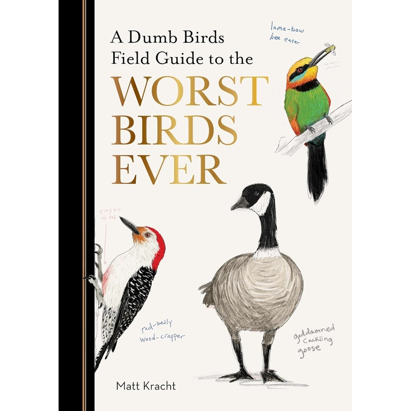 A Dumb Birds Field Guide to the Worst Birds Ever Paperback