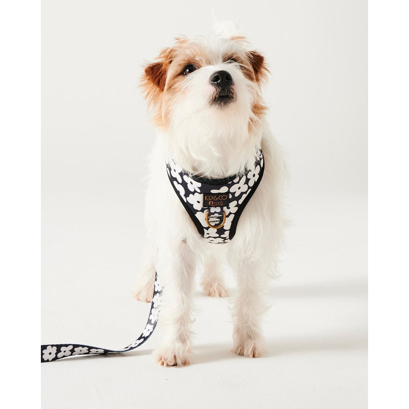 Flower Face Dog Harness Medium