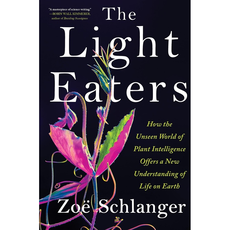 The Light Eaters: How the Unseen World of Plant Intelligence Offers a New Understanding of Life on Earth Hardcover