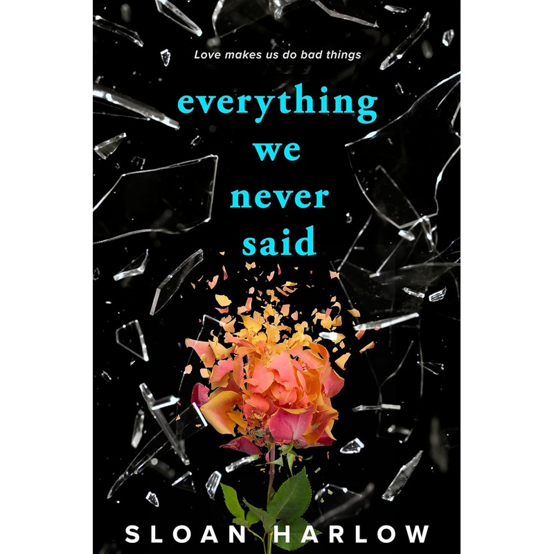 Everything We Never Said Paperback