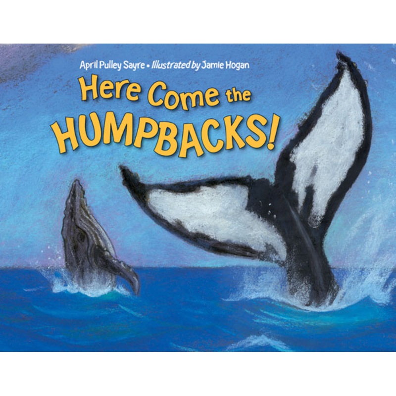 Here Come the Humpbacks!