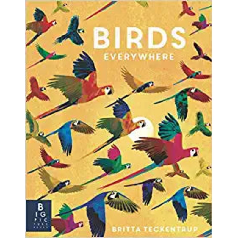 Birds Everywhere