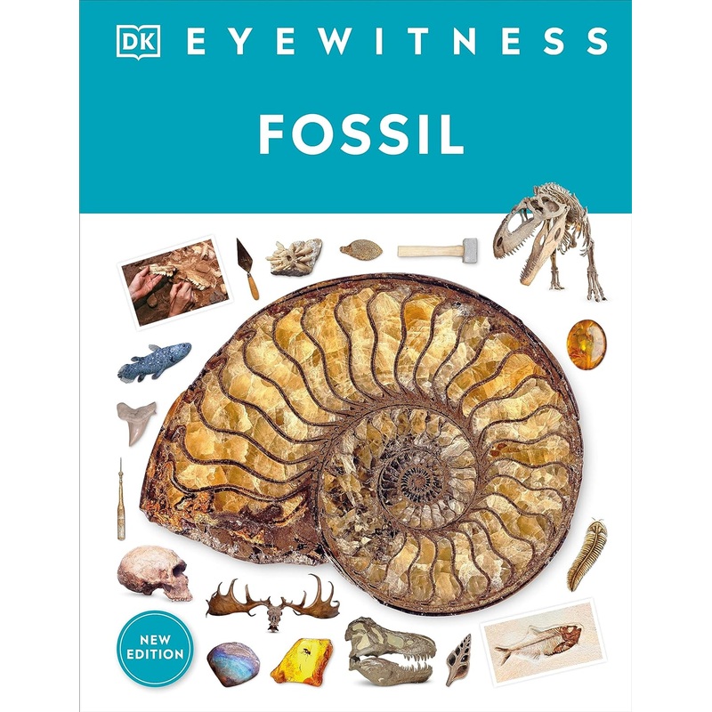 Eyewitness Fossil Hardcover