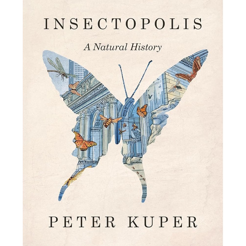 Insectopolis: A Natural History