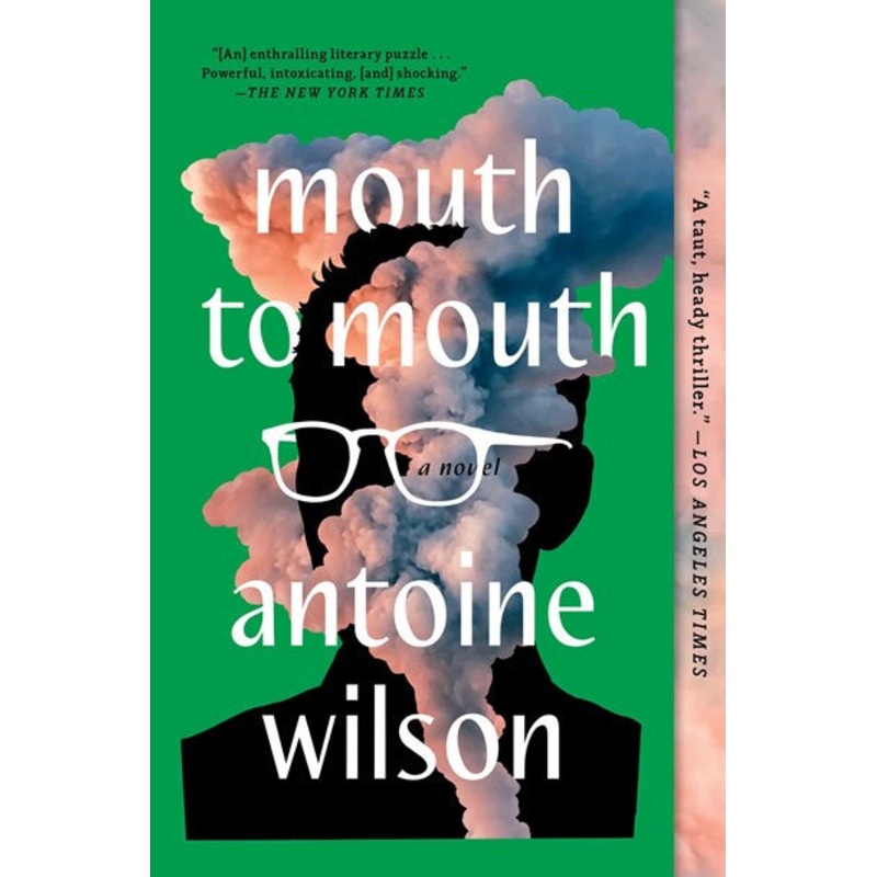 Mouth to Mouth : A Novel