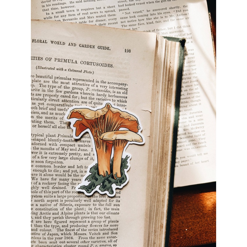 Fablewood Goods – Chanterelle | Waterproof Vinyl Sticker | 3″