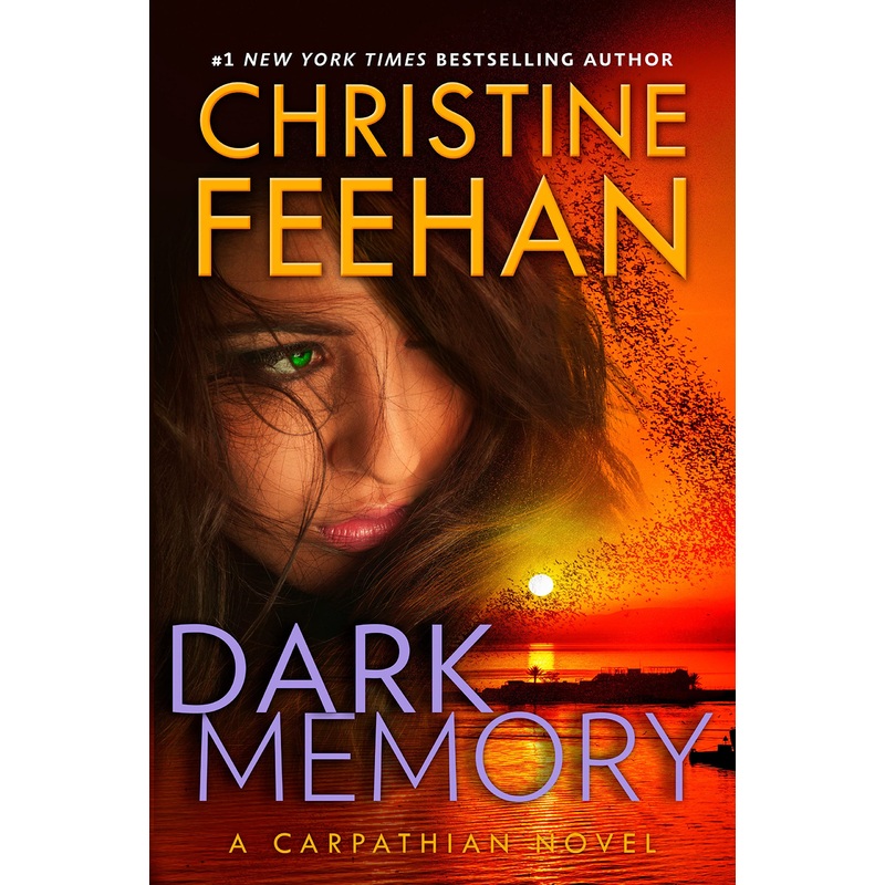 Dark Memory Hardcover