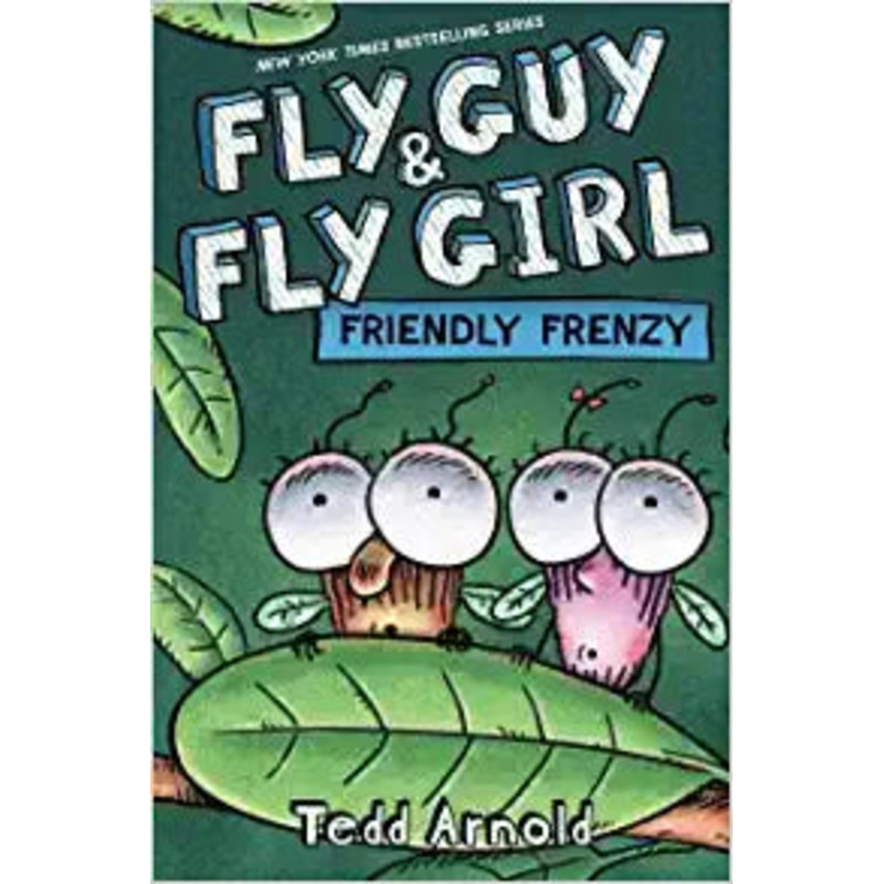 Fly Guy and Fly Girl: Friendly Frenzy