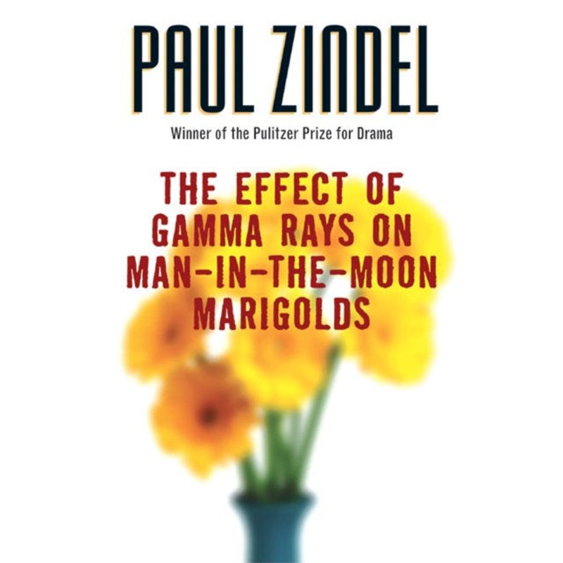 The Effect of Gamma Rays on Man-in-the-Moon Marigolds