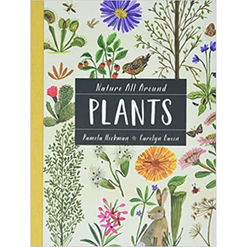 Nature All Around: Plants Hardcover