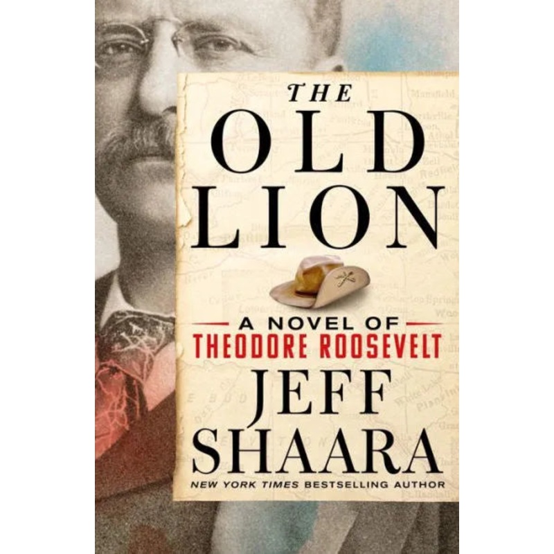 The Old Lion: A Novel of Theodore Roosevelt Hardcover
