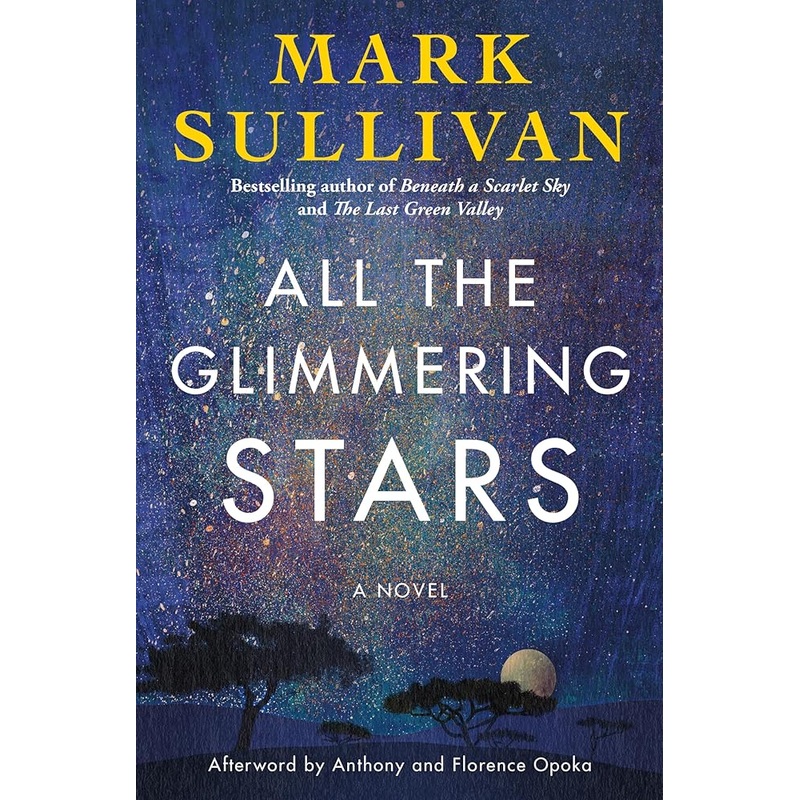 All the Glimmering Stars: A Novel