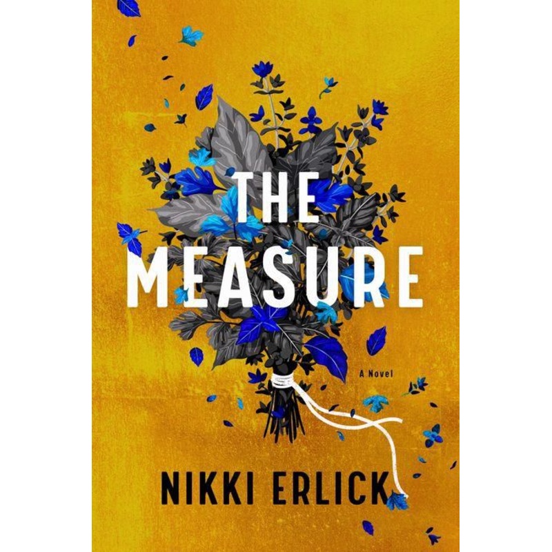 The Measure: A Novel Hardcover