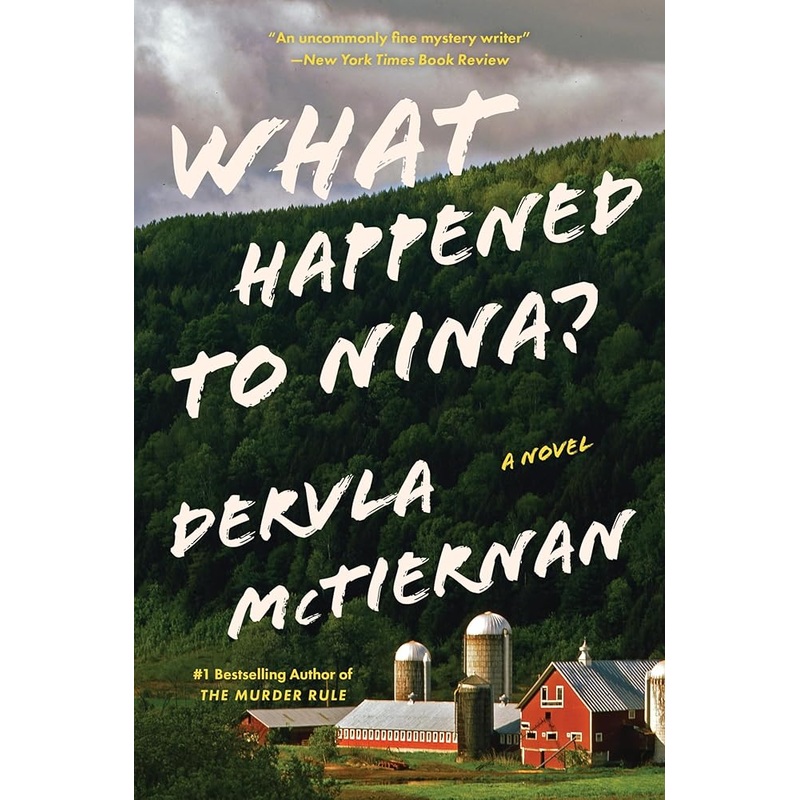 What Happened to Nina?: A Novel