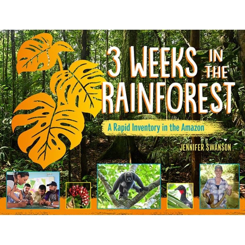 3 Weeks in the Rainforest