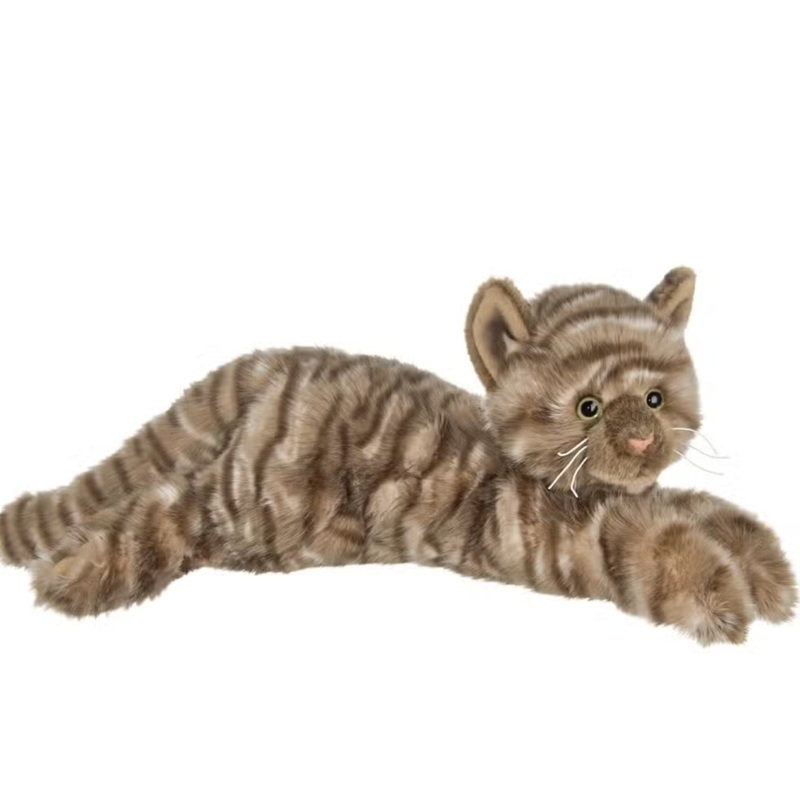 Louie the Brown Tabby Cat