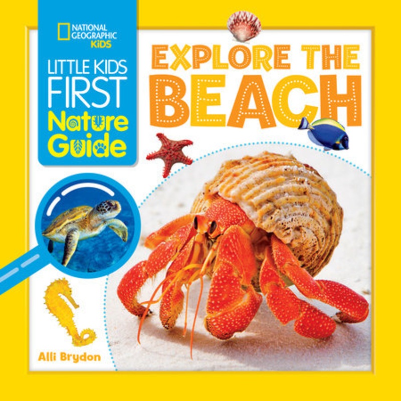 Little Kids First Nature Guide: Beach