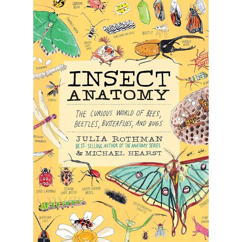 (09/02/25 PREORDER) Insect Anatomy: The Curious World of Bees, Beetles, Butterflies, and Bugs