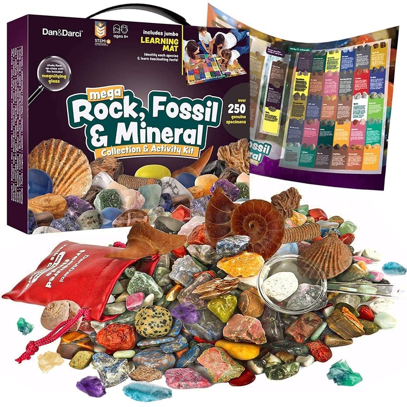 Dan&Darci – Mega Rock, Fossil & Mineral Collection