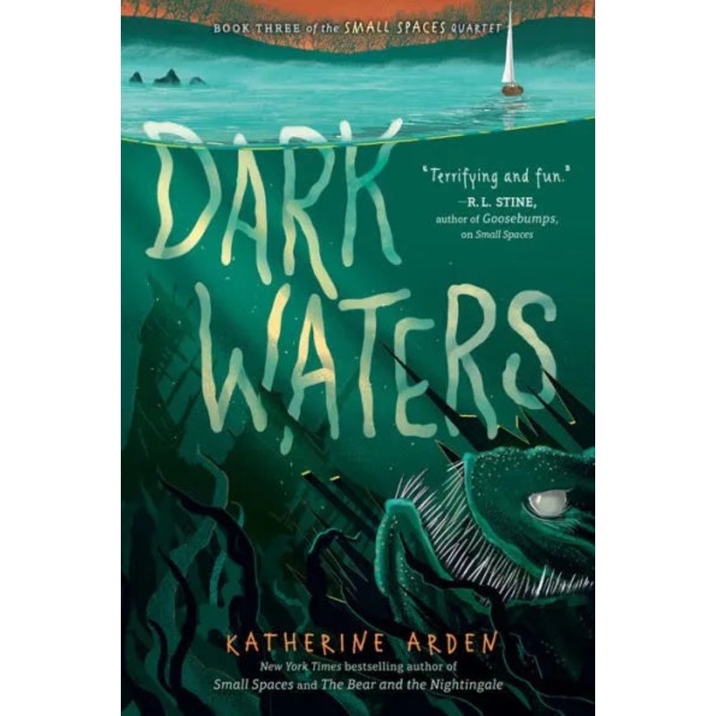 Dark Waters Hardcover