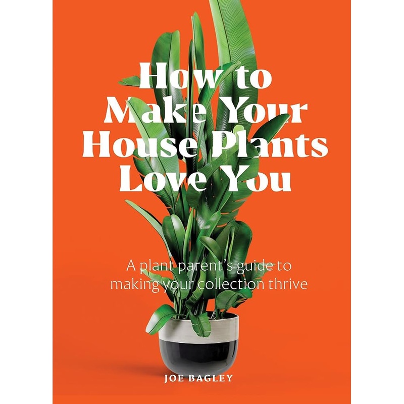How to Make Your Houseplants Love You: Expert Answers for Plant Parents