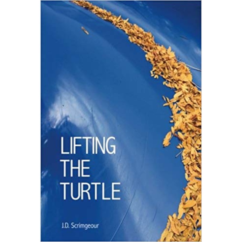 Lifting the Turtle