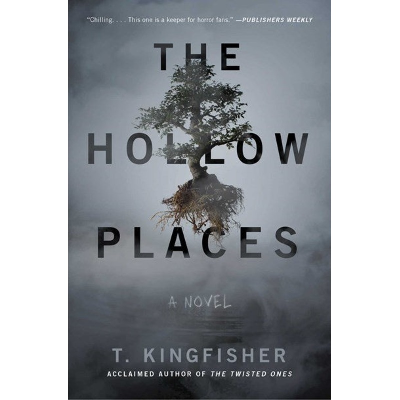 The Hollow Places : A Novel