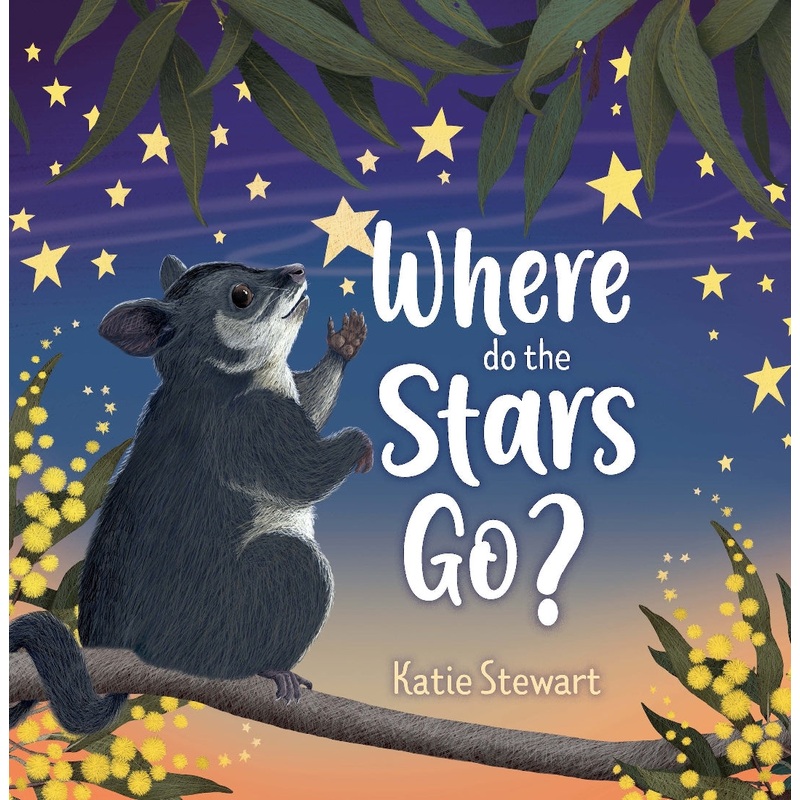 WHERE DO THE STARS GO?